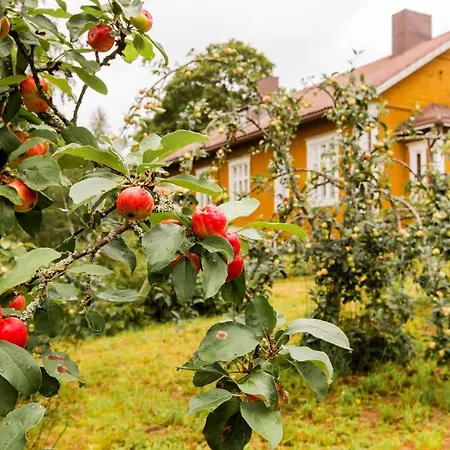 Johtola Миккели